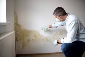 Best Emergency Mold Remediation  in Bagdad, AZ